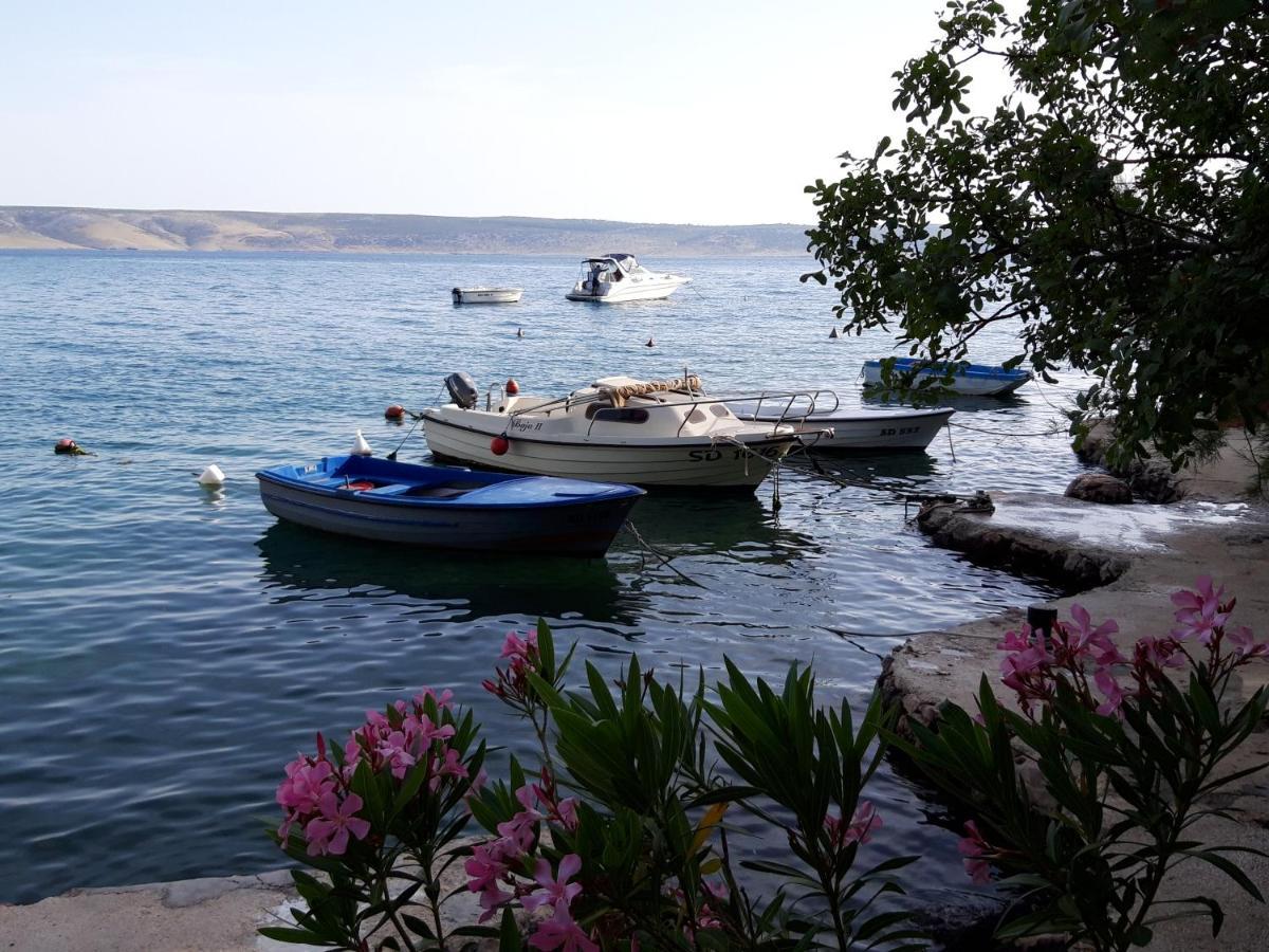 Apartament Old Town Paklenica Starigrad Paklenica Zewnętrze zdjęcie